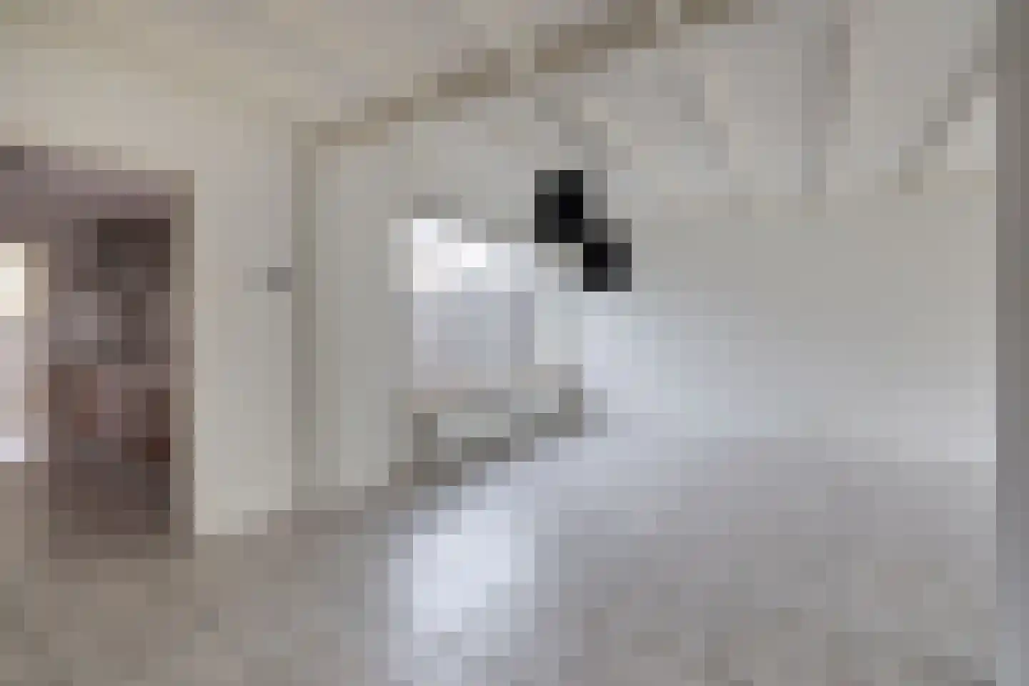 Debussystraat 4 Waalwijk thumbnail 12