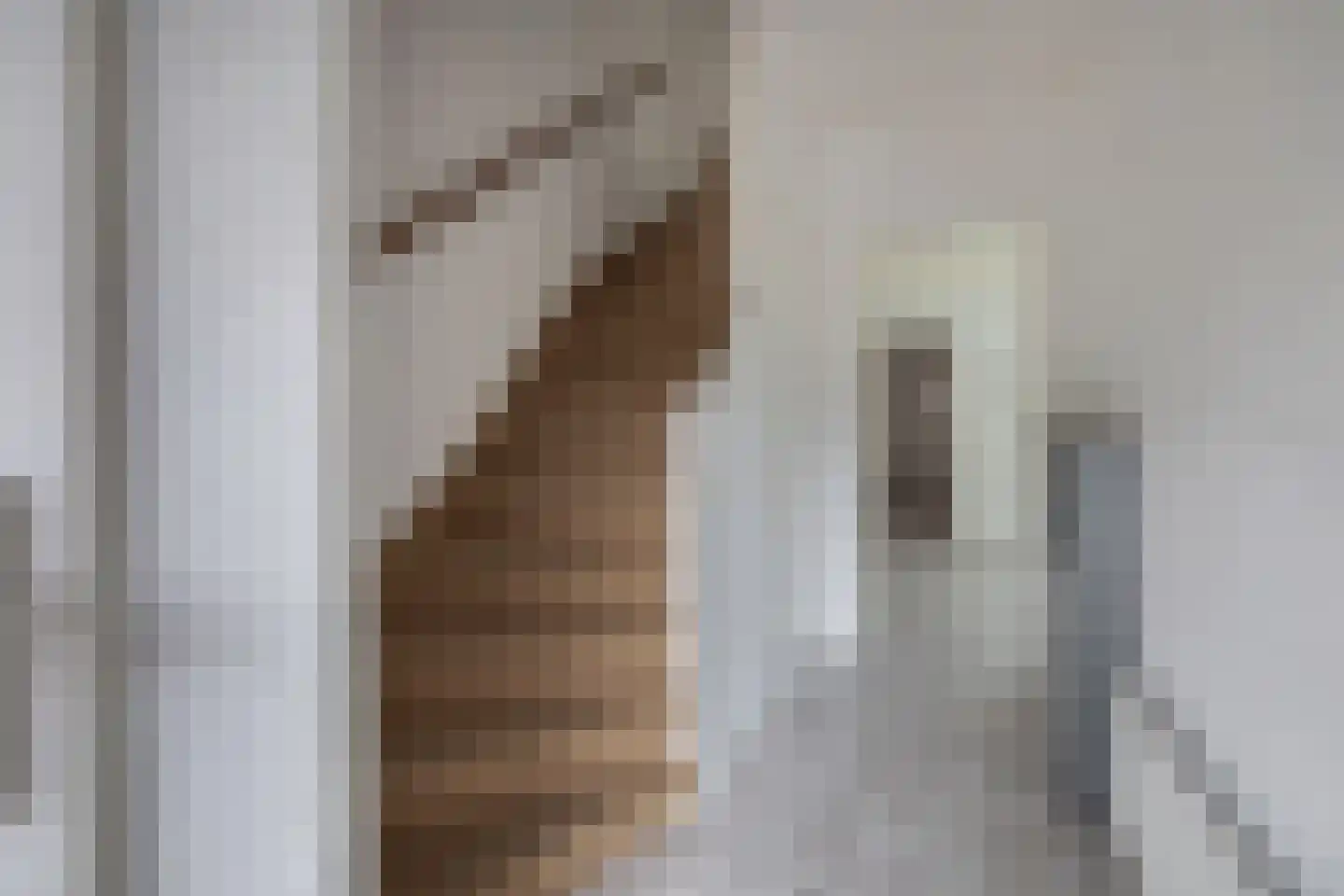 Debussystraat 4 Waalwijk thumbnail 7