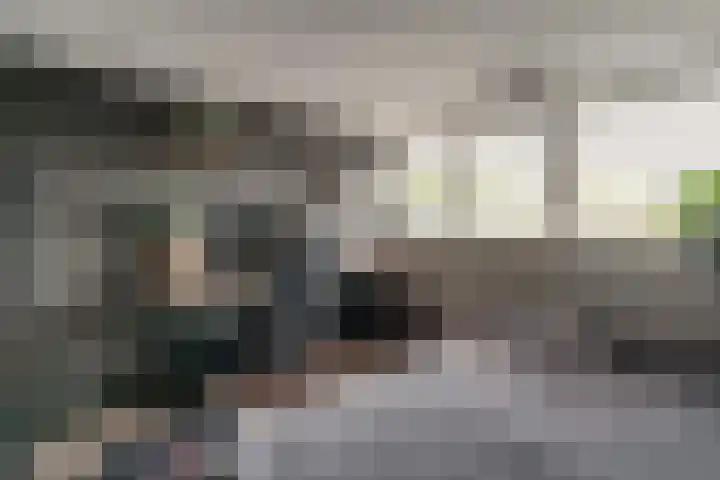 Debussystraat 4 Zevenaar thumbnail 37