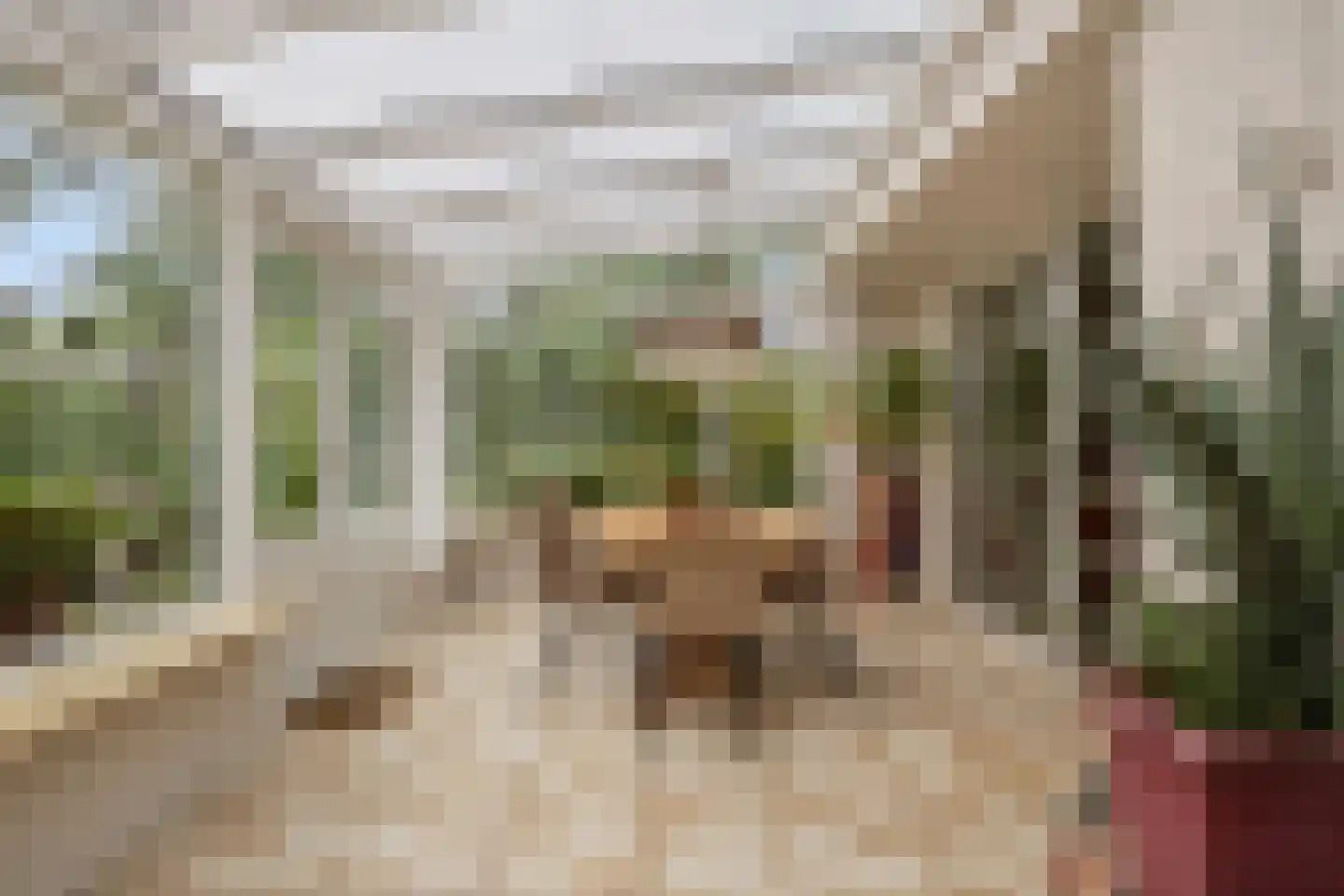 Debussystraat 45 Waalwijk thumbnail 18