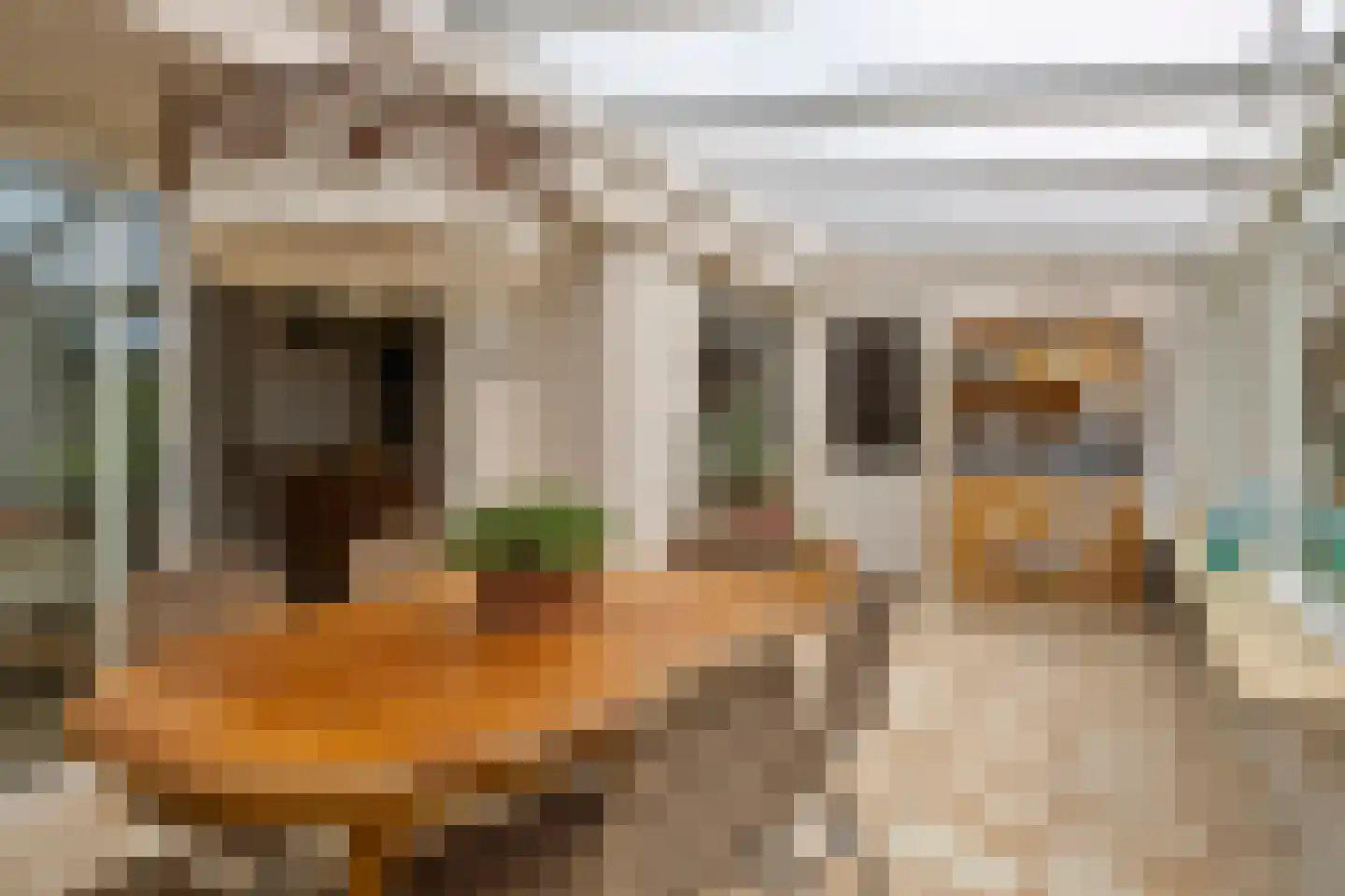 Debussystraat 45 Waalwijk thumbnail 19