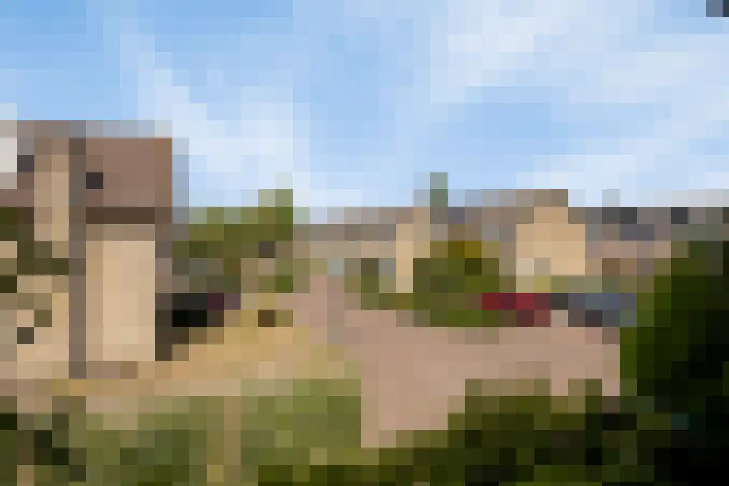 Debussystraat 45 Waalwijk thumbnail 24