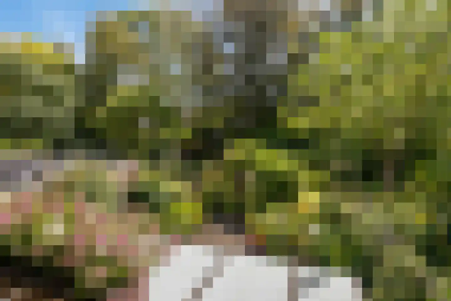 Debussystraat 45 Waalwijk thumbnail 30