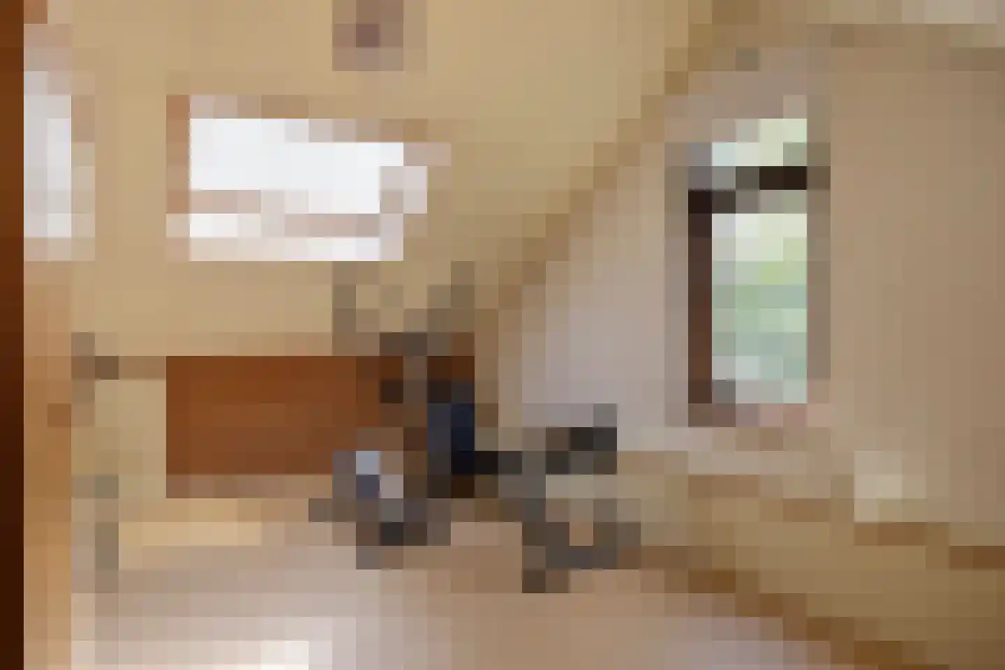 Debussystraat 45 Waalwijk thumbnail 38
