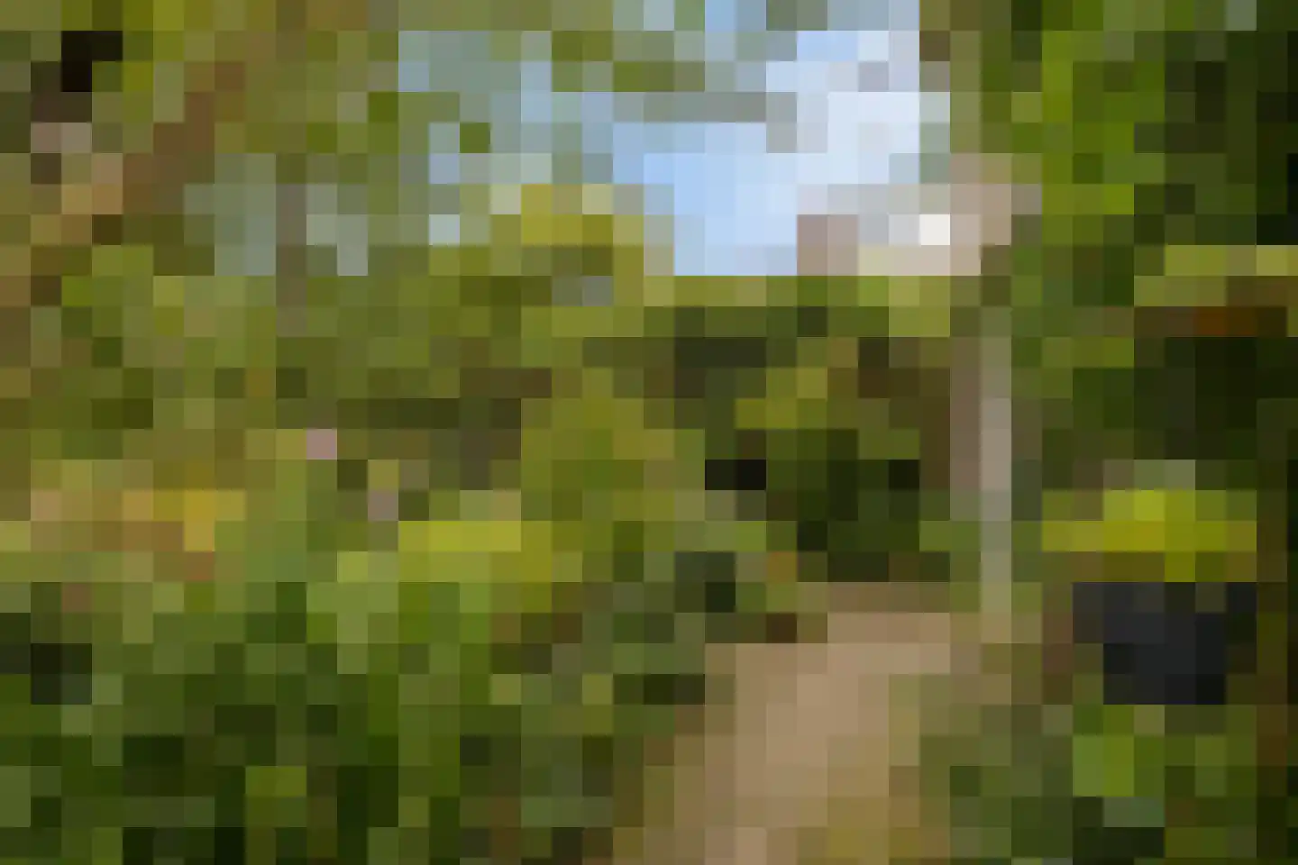 Debussystraat 45 Waalwijk thumbnail 39