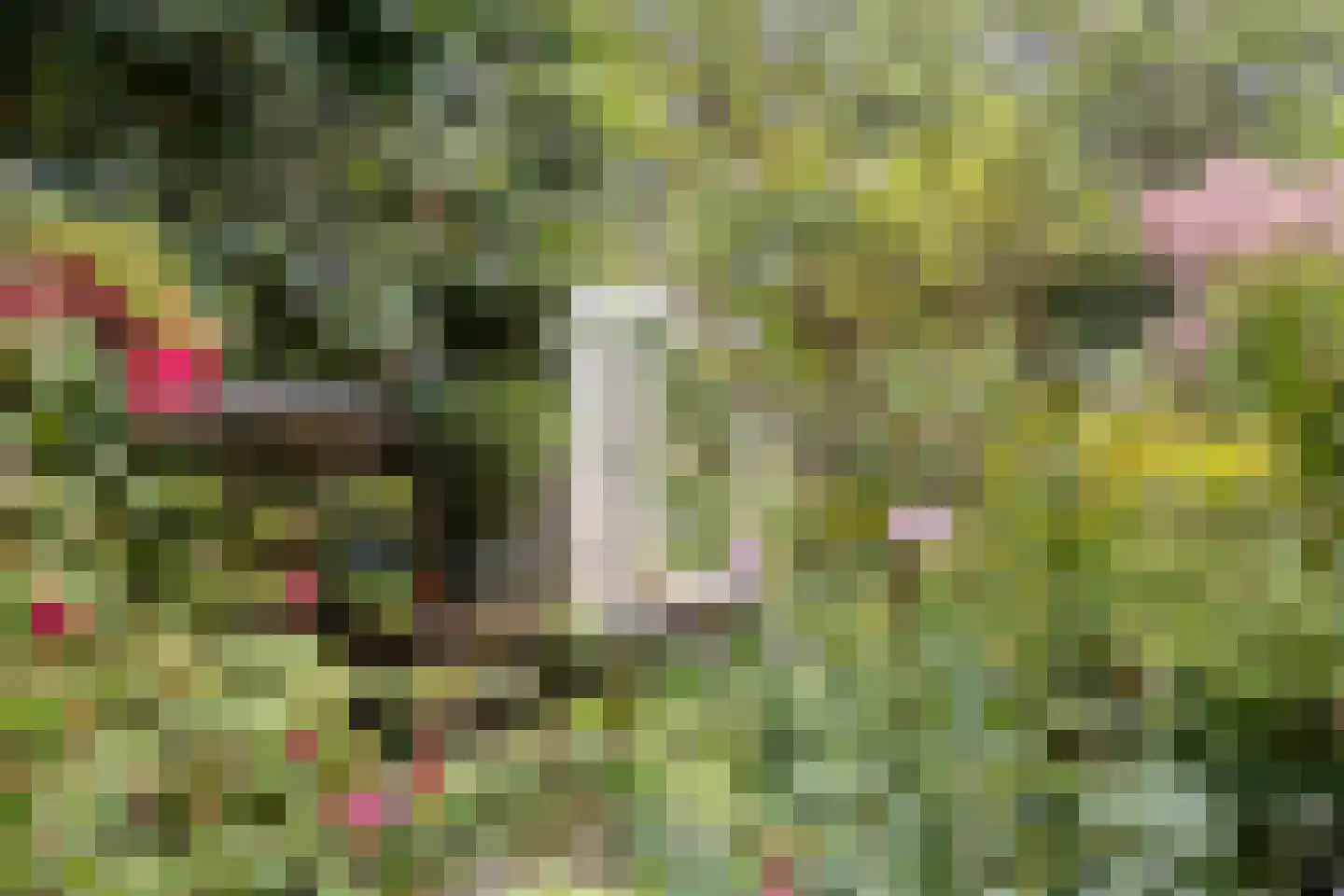 Debussystraat 45 Waalwijk thumbnail 41