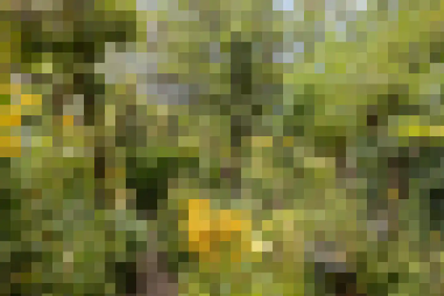 Debussystraat 45 Waalwijk thumbnail 42