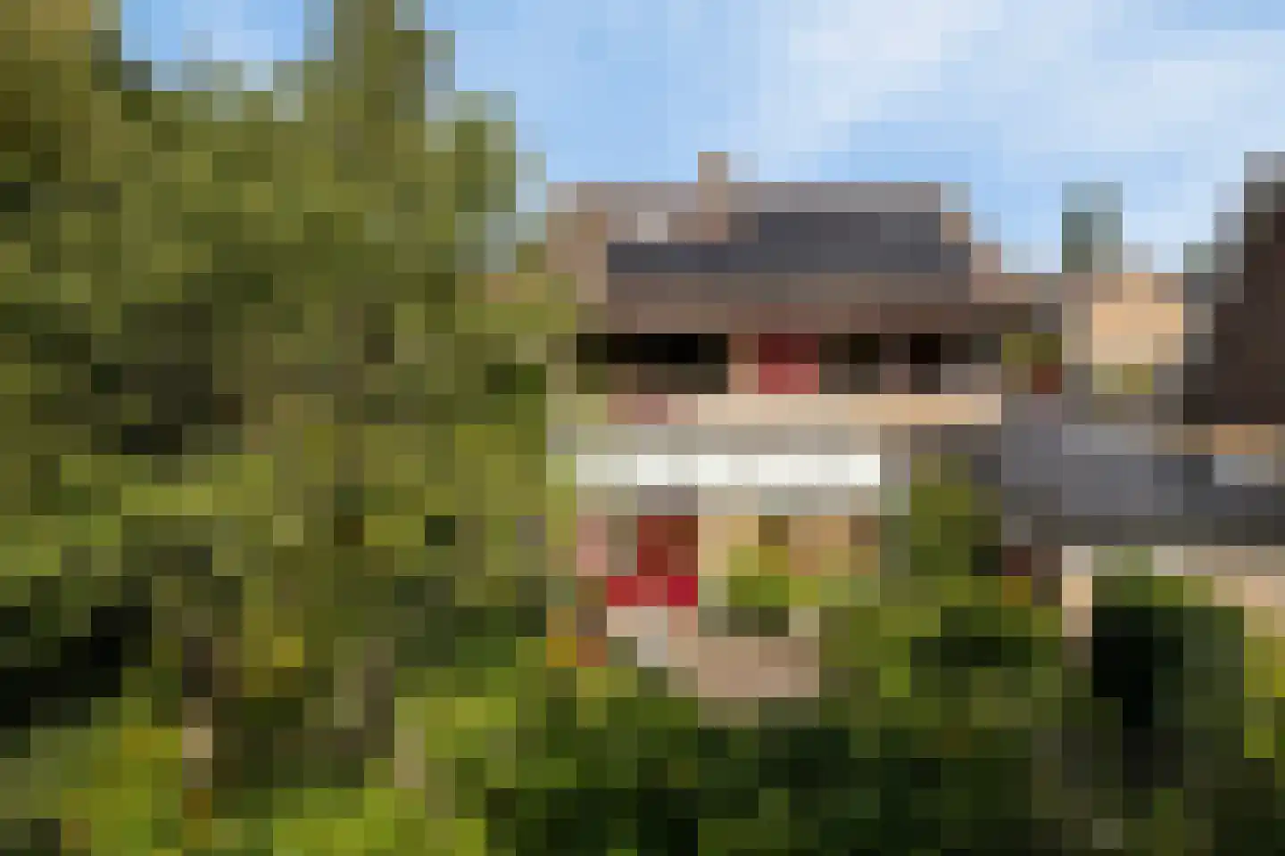 Debussystraat 45 Waalwijk thumbnail 48