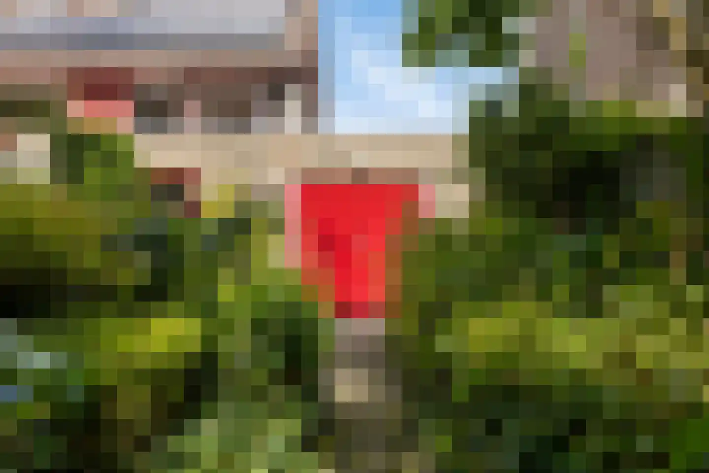 Debussystraat 45 Waalwijk thumbnail 51