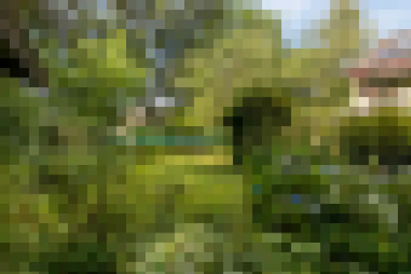 Debussystraat 45 Waalwijk thumbnail 52