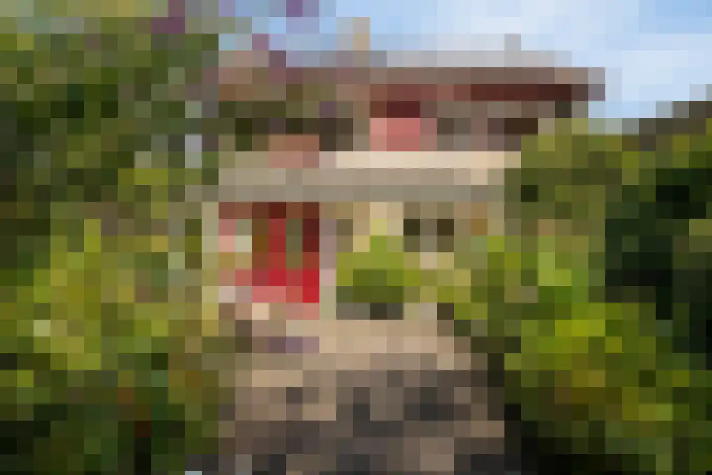 Debussystraat 45 Waalwijk thumbnail 55