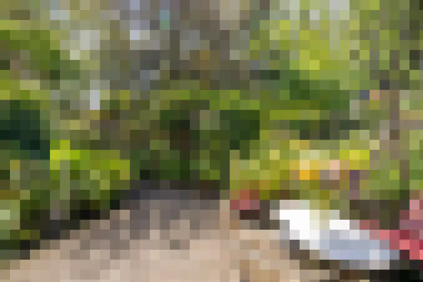 Debussystraat 45 Waalwijk thumbnail 56