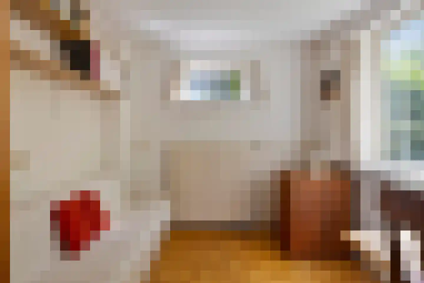 Debussystraat 45 Waalwijk thumbnail 59