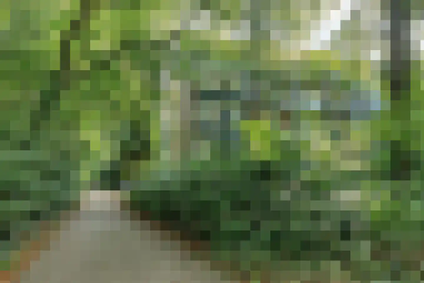 Debussystraat 5 2 Arnhem thumbnail 24