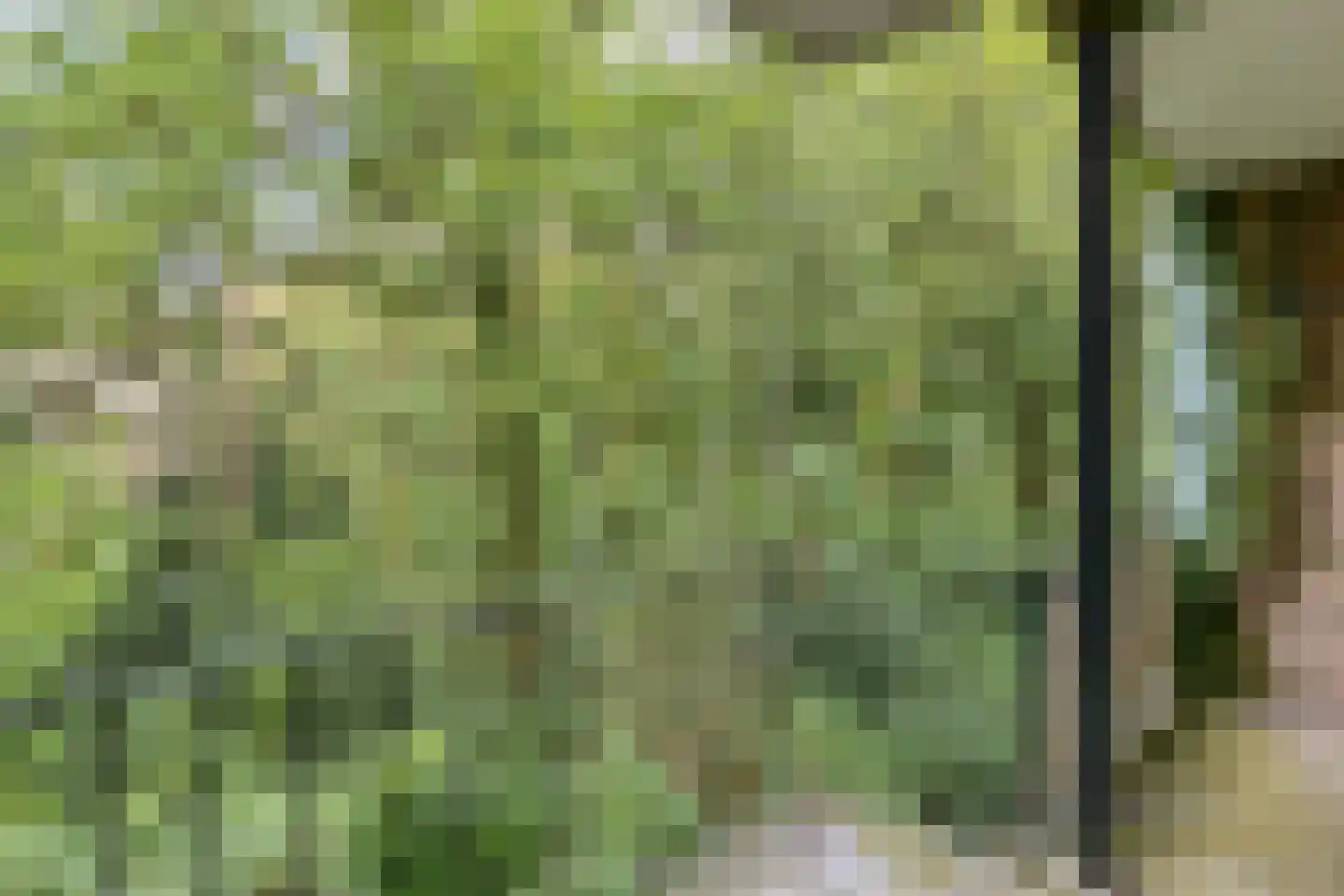 Debussystraat 5 2 Arnhem thumbnail 7