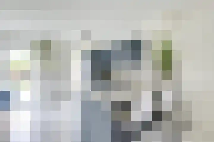 Debussystraat 5 Nieuwegein thumbnail 12
