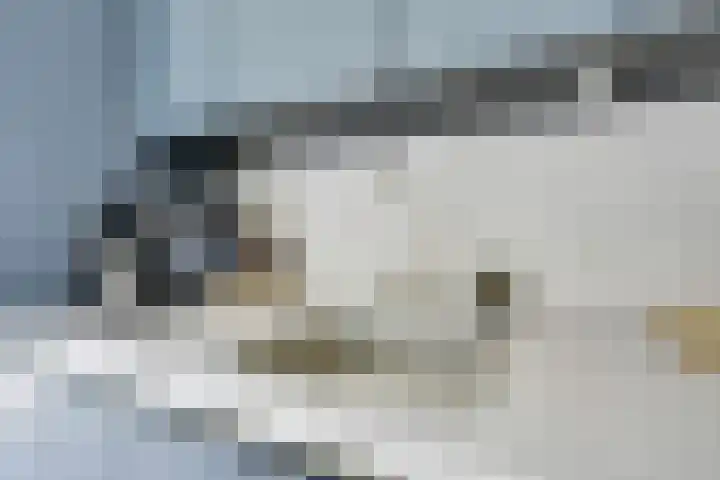 Debussystraat 5 Nieuwegein thumbnail 18