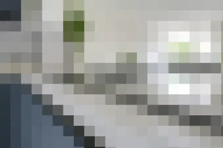 Debussystraat 5 Nieuwegein thumbnail 19