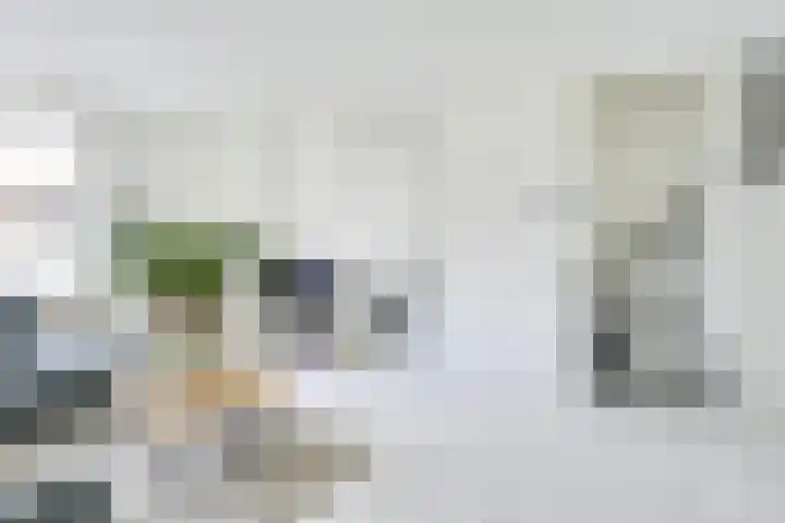 Debussystraat 5 Nieuwegein thumbnail 22
