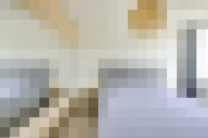Debussystraat 5 Nieuwegein thumbnail 26