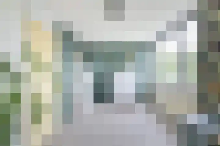Debussystraat 5 Nieuwegein thumbnail 33