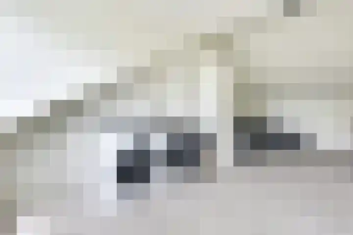 Debussystraat 5 Nieuwegein thumbnail 48