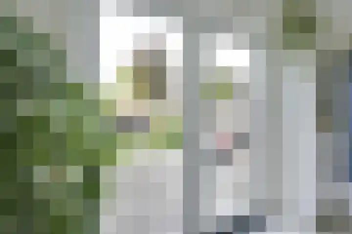 Debussystraat 5 Nieuwegein thumbnail 51