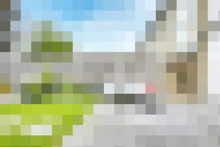 Debussystraat 5 Nieuwegein thumbnail 56