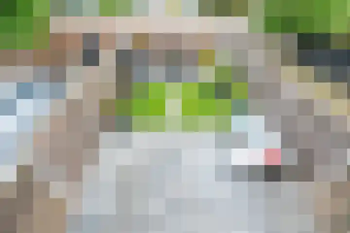 Debussystraat 5 Nieuwegein thumbnail 58
