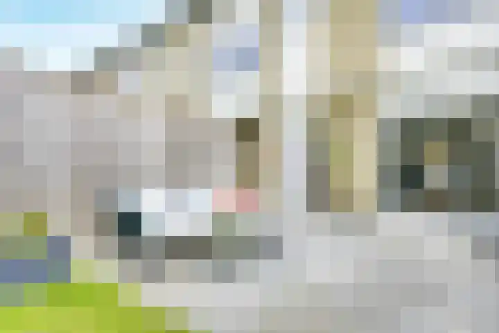 Debussystraat 5 Nieuwegein thumbnail 63