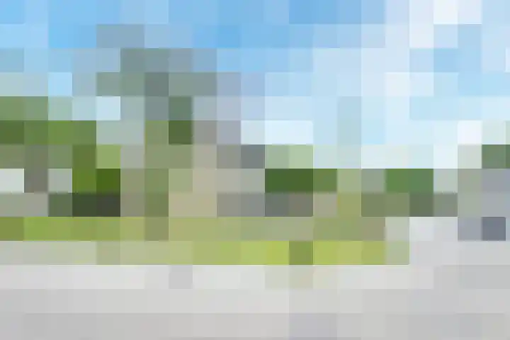 Debussystraat 5 Nieuwegein thumbnail 74