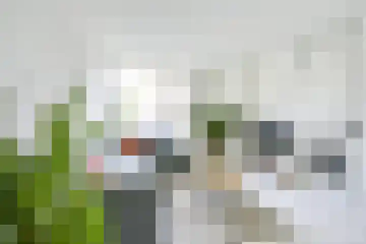 Debussystraat 5 Nieuwegein thumbnail 9