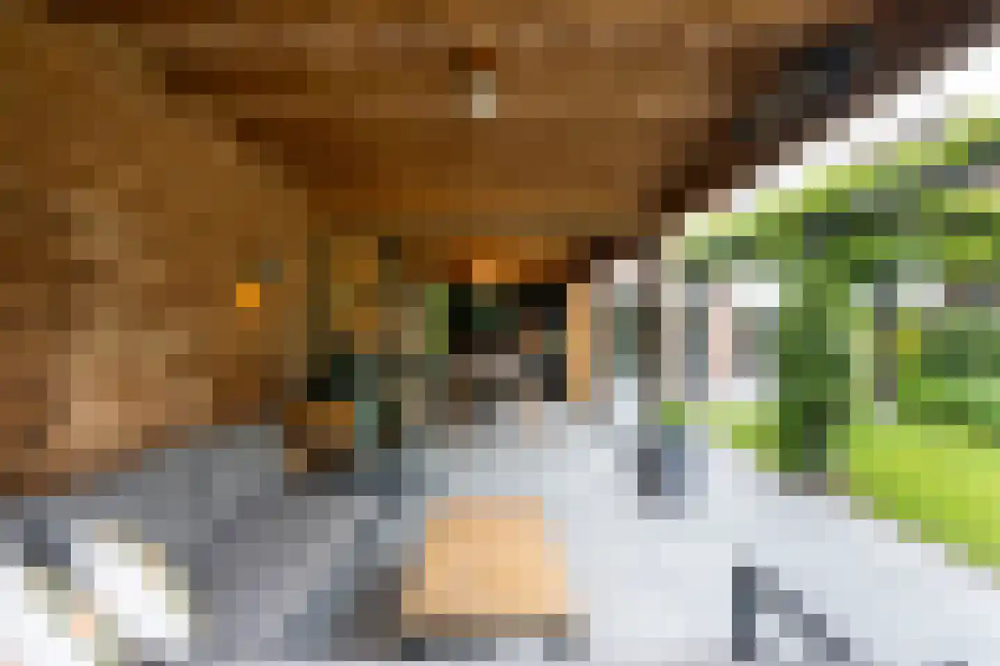 Debussystraat 51 Waalwijk thumbnail 23