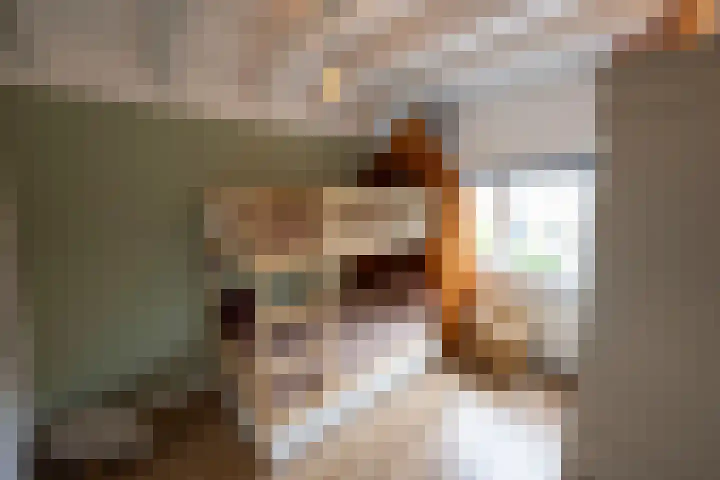 Debussystraat 51 Waalwijk thumbnail 37