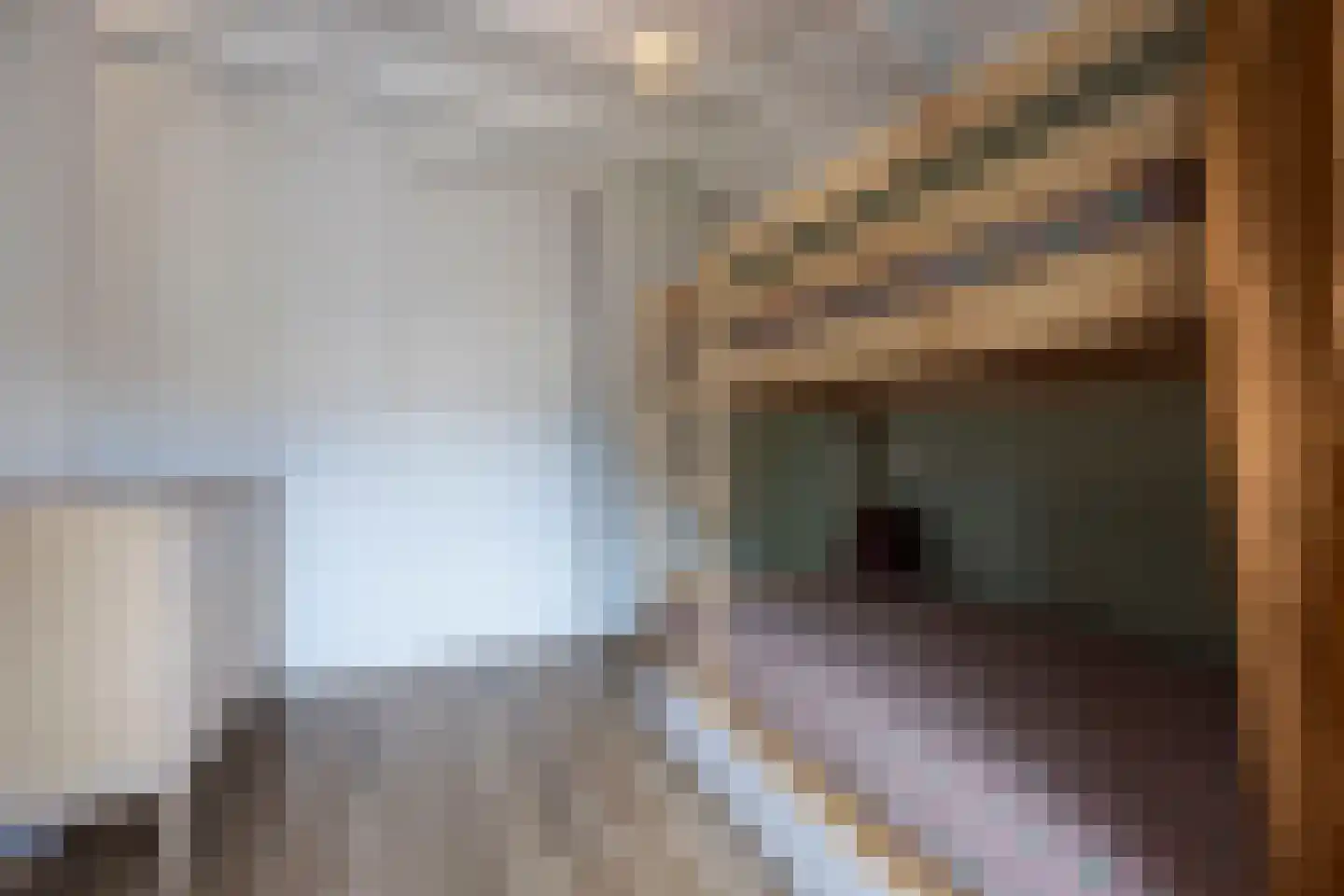 Debussystraat 51 Waalwijk thumbnail 39