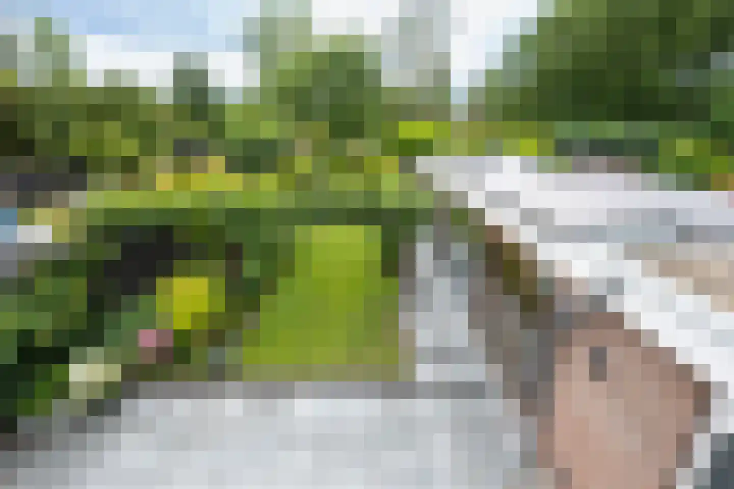 Debussystraat 51 Waalwijk thumbnail 41