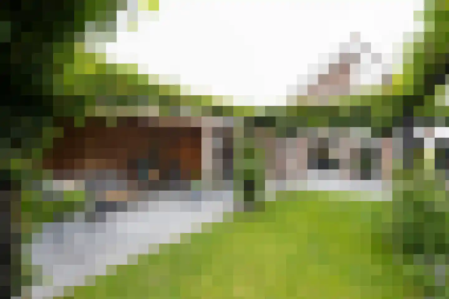 Debussystraat 51 Waalwijk thumbnail 43