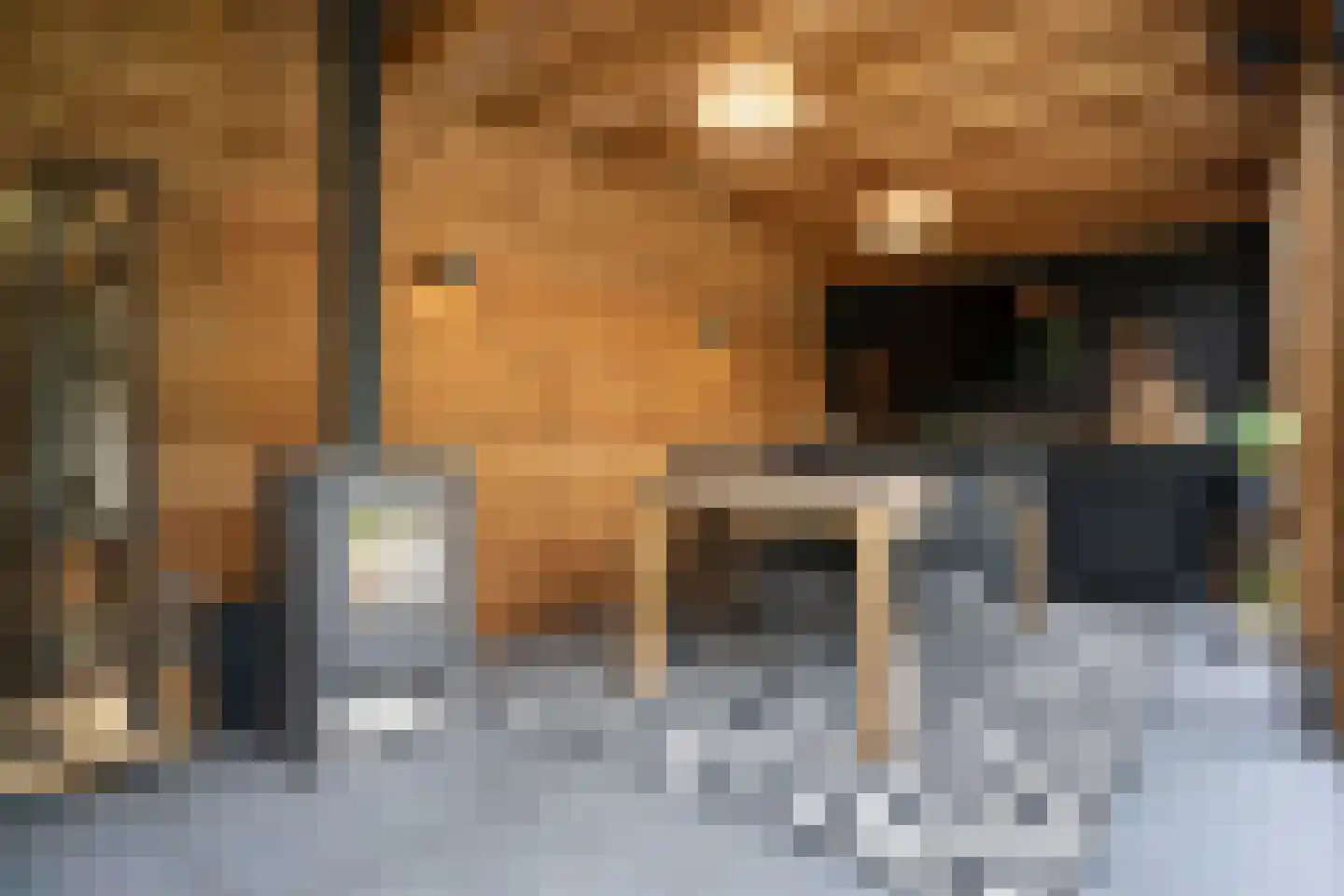 Debussystraat 51 Waalwijk thumbnail 44