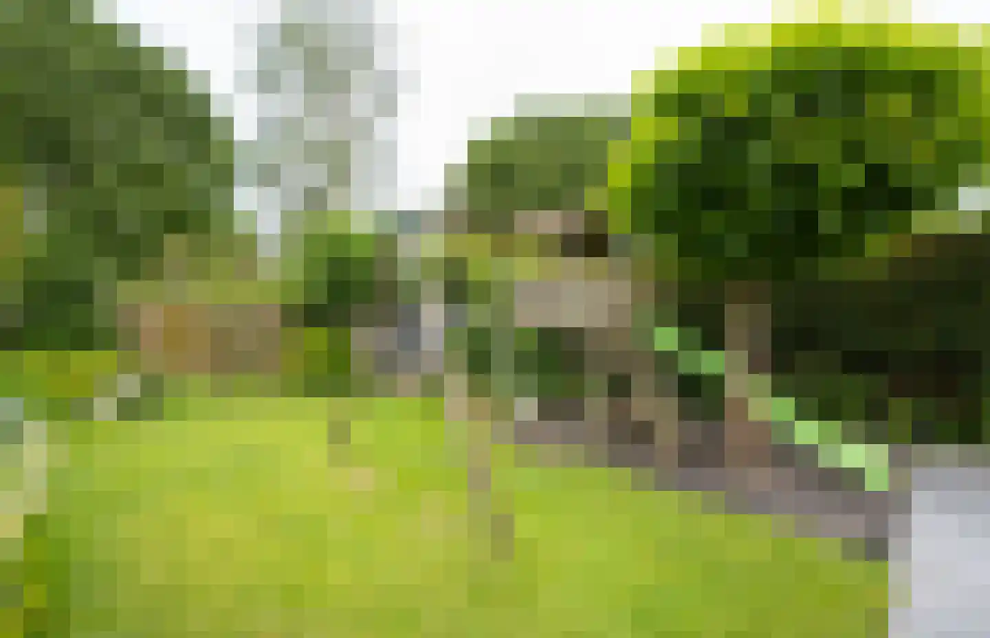 Debussystraat 51 Waalwijk thumbnail 46
