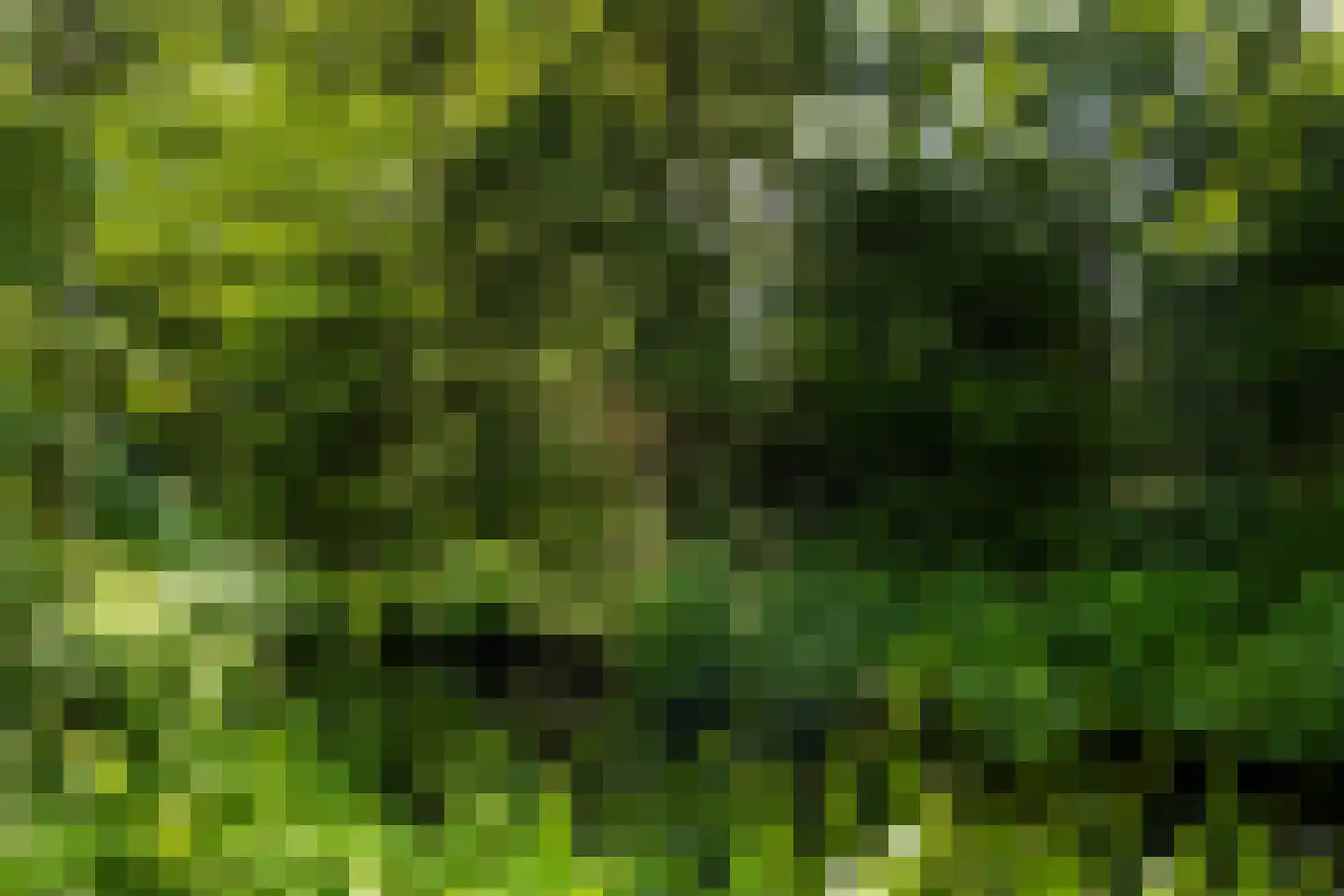 Debussystraat 51 Waalwijk thumbnail 49