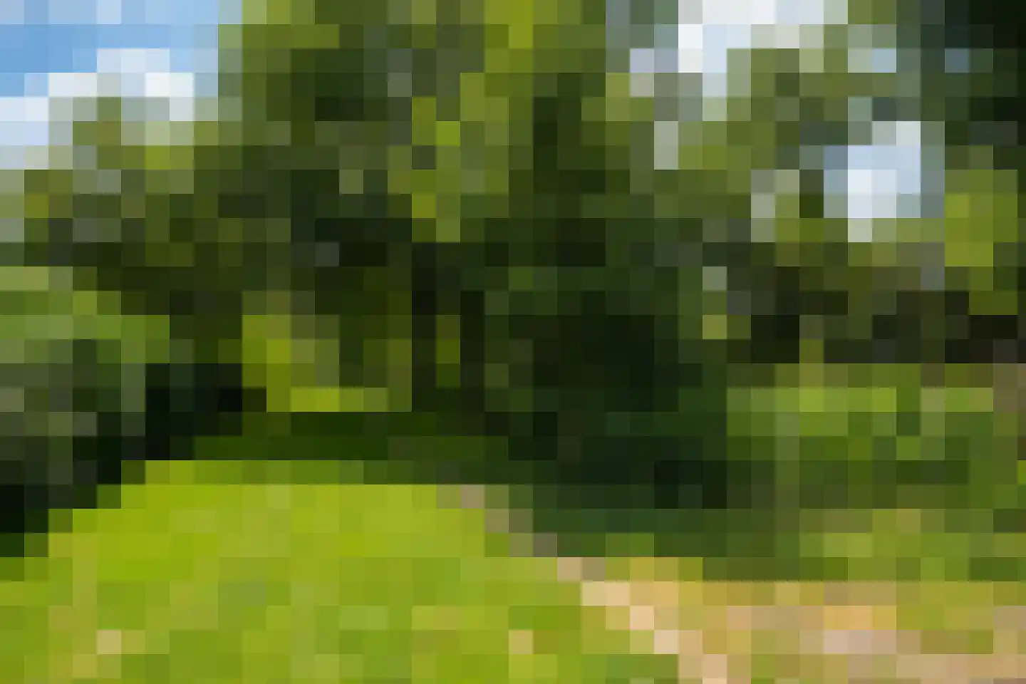 Debussystraat 51 Waalwijk thumbnail 50
