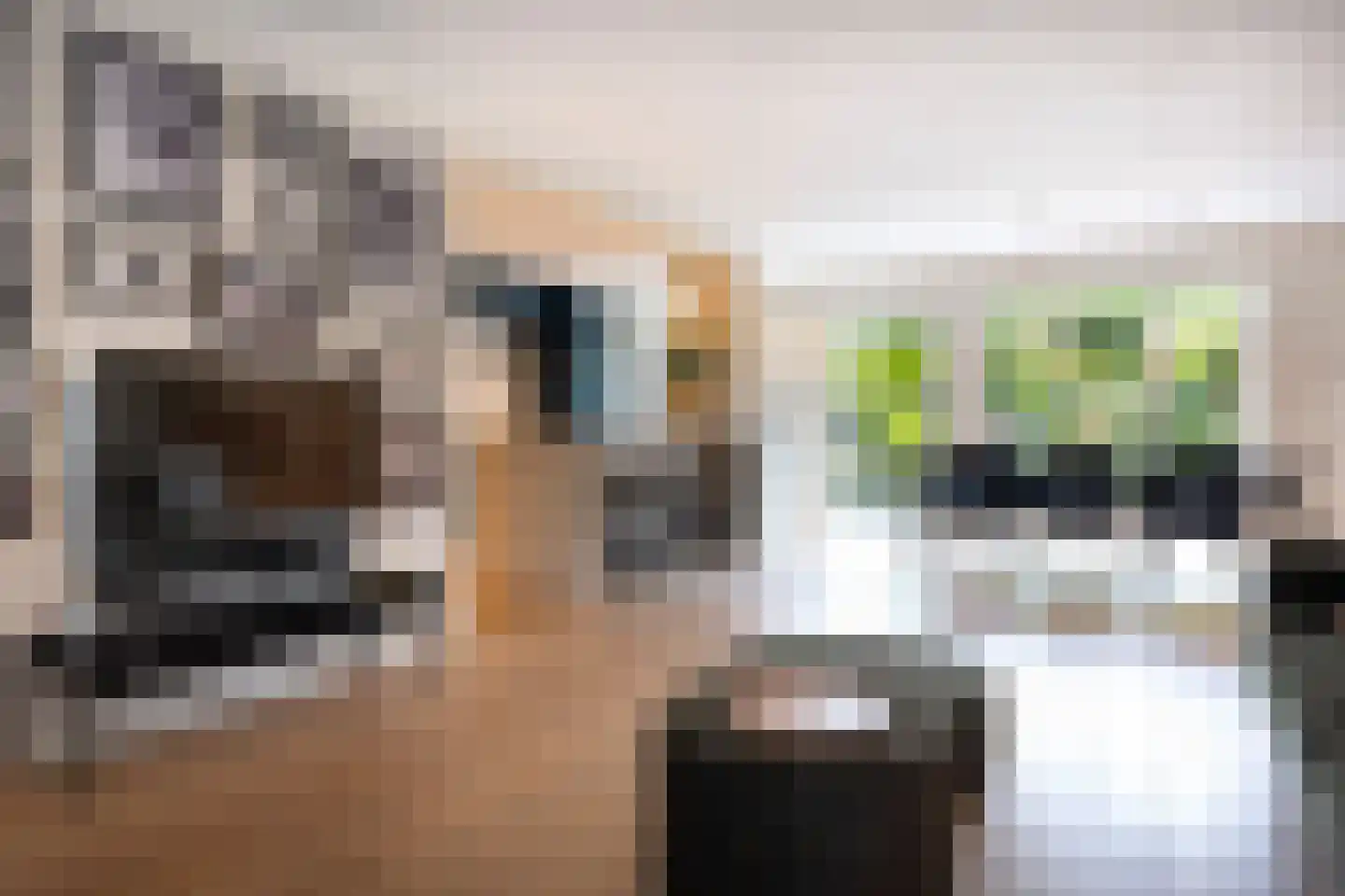 Debussystraat 51 Waalwijk thumbnail 8
