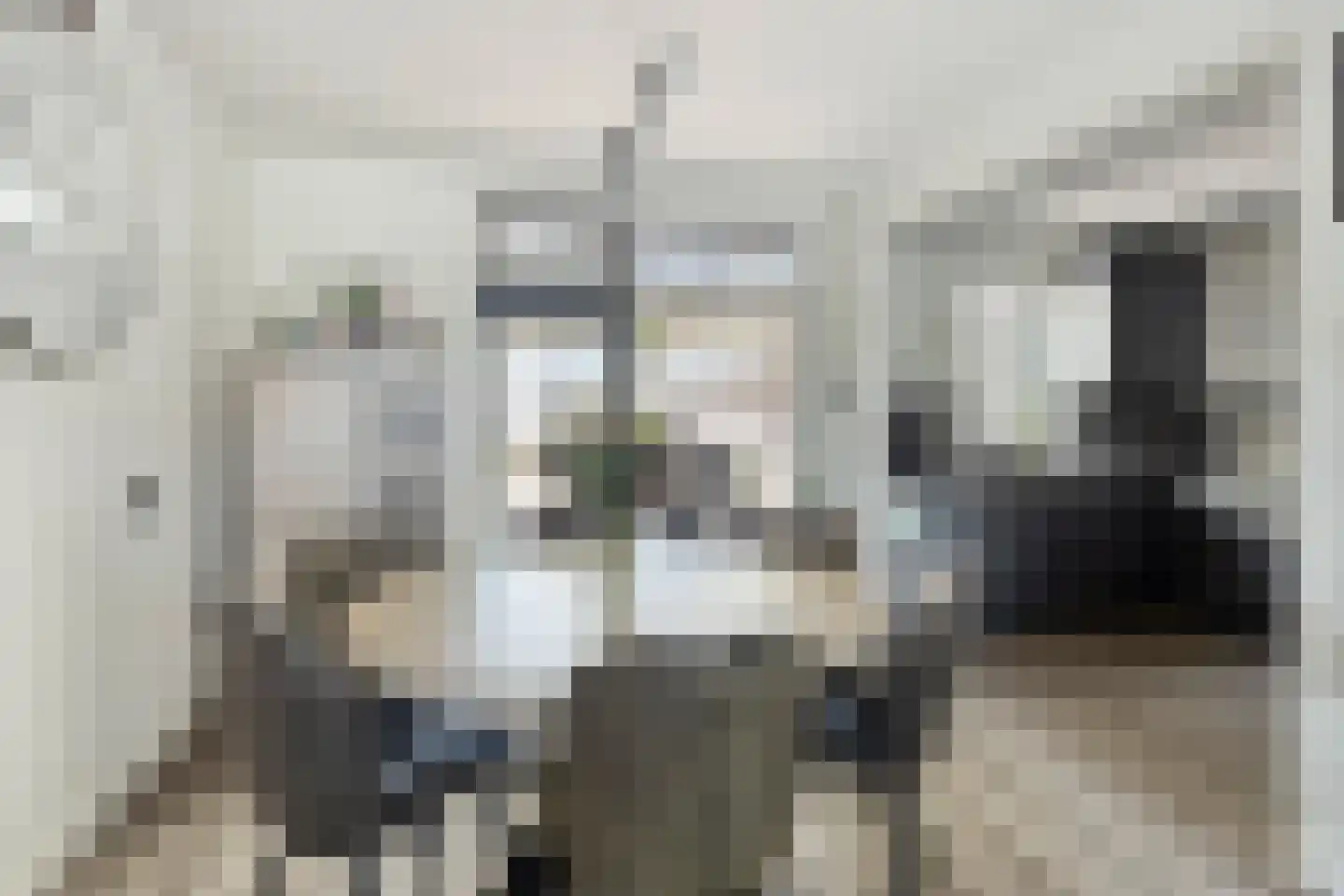 Debussystraat 6 Zevenaar thumbnail 14