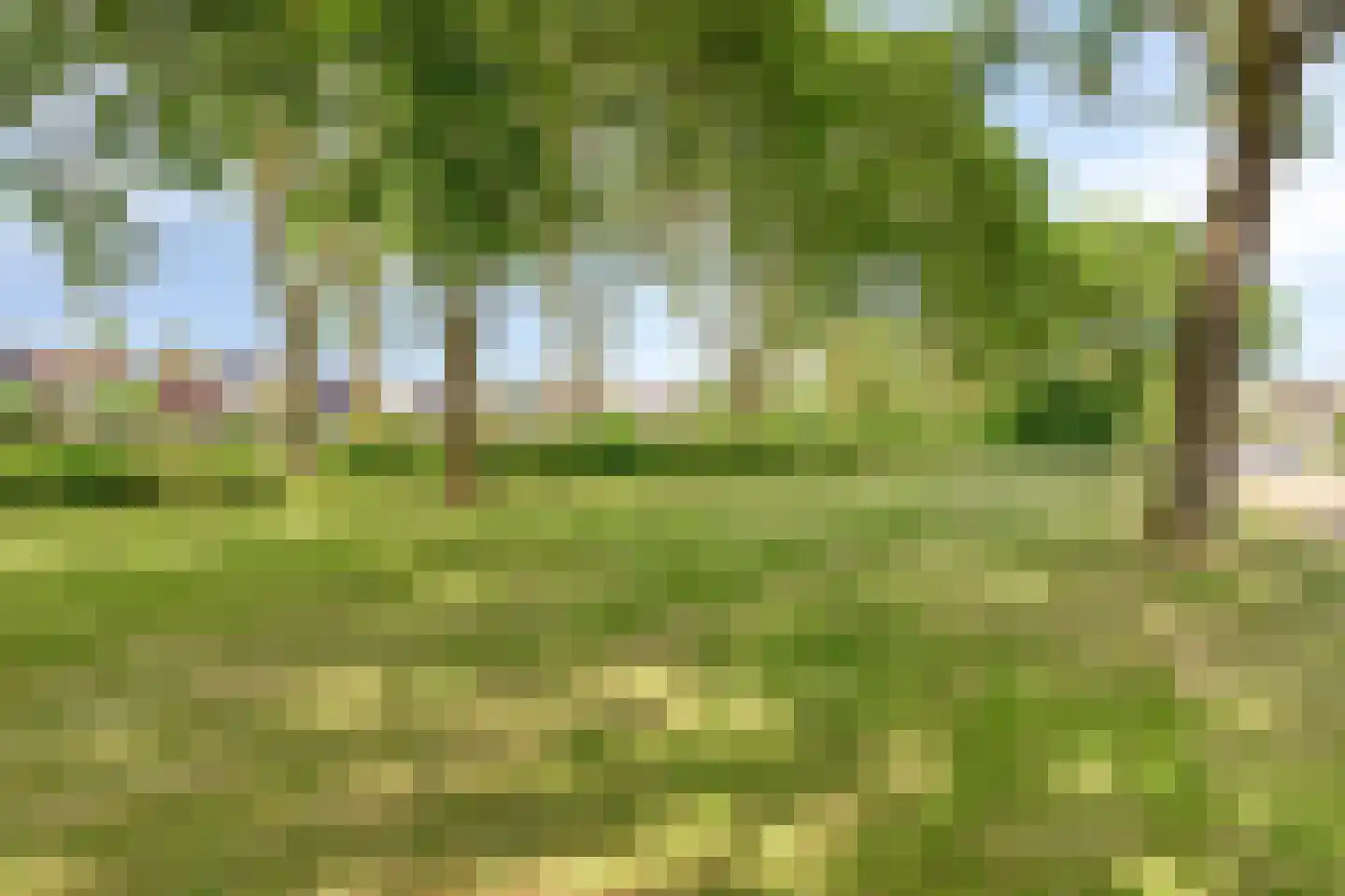 Debussystraat 6 Zevenaar thumbnail 36