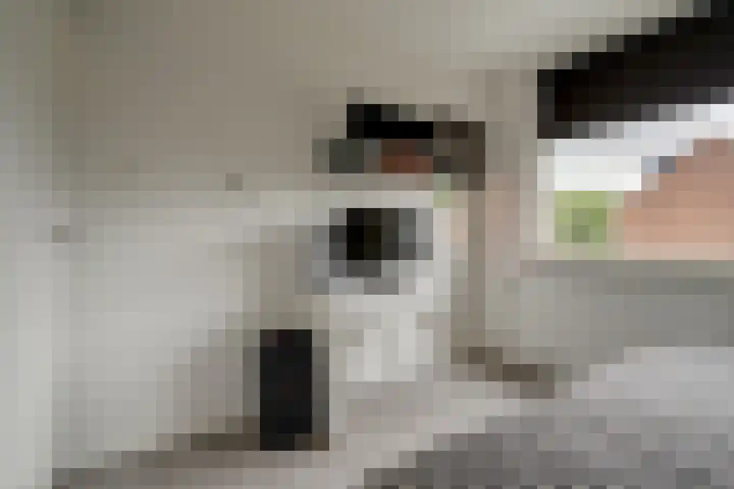 Debussystraat 86 Culemborg thumbnail 27
