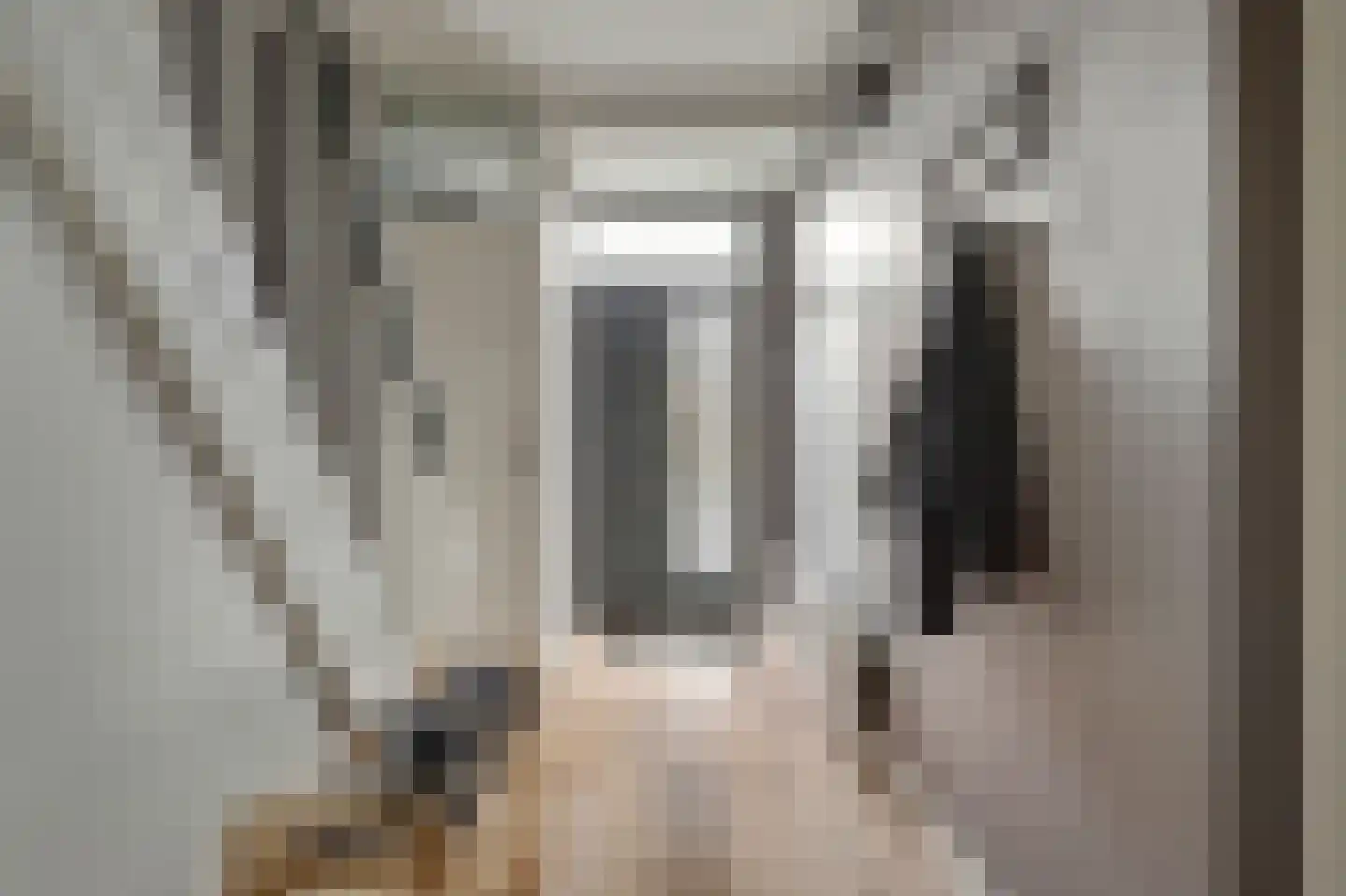 Debussystraat 86 Culemborg thumbnail 8
