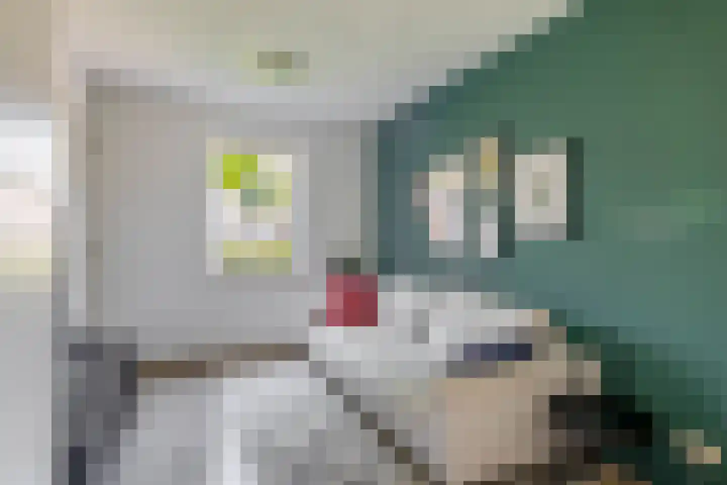 Debussystraat 9 Schijndel thumbnail 16