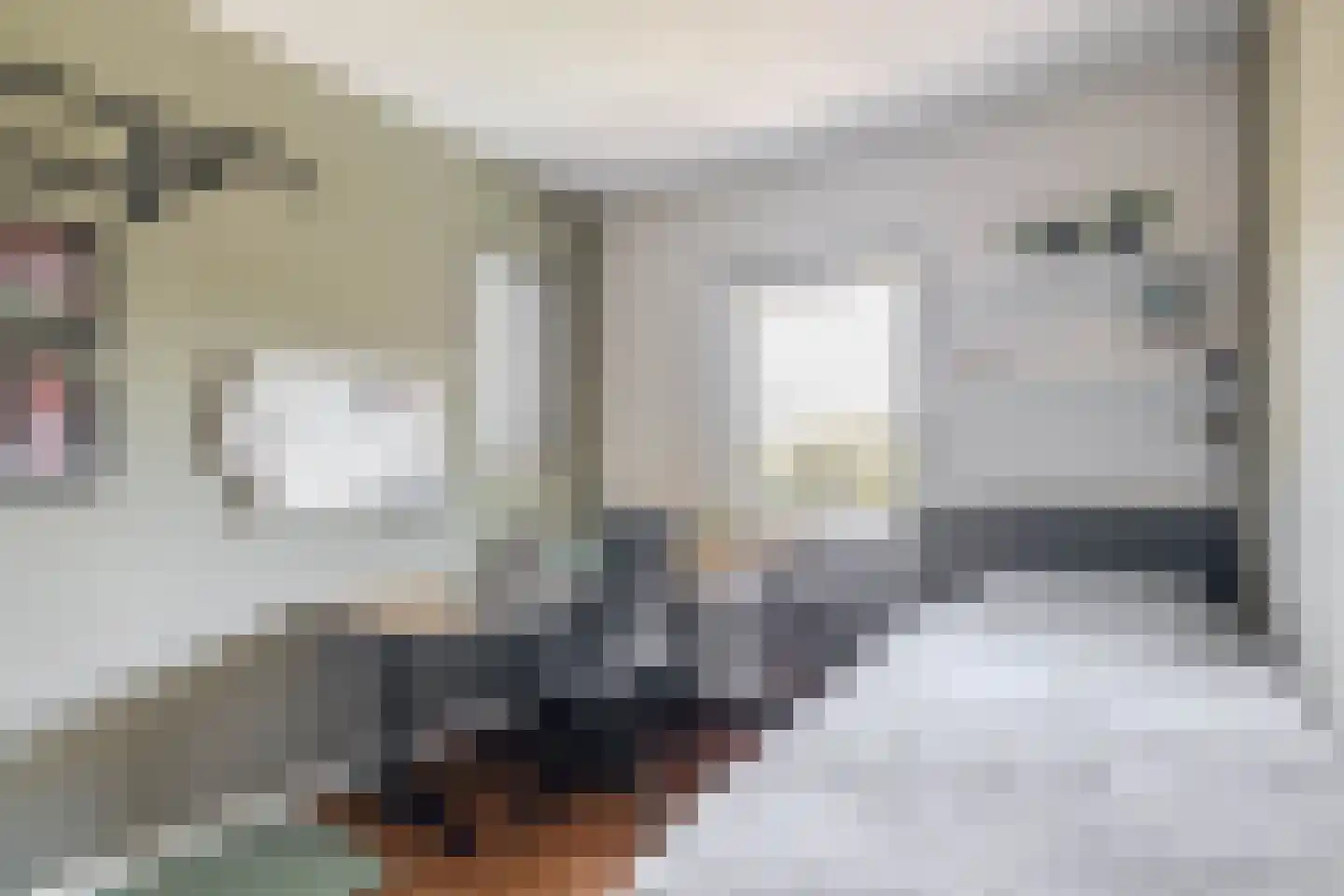 Debussystraat 9 Schijndel thumbnail 27