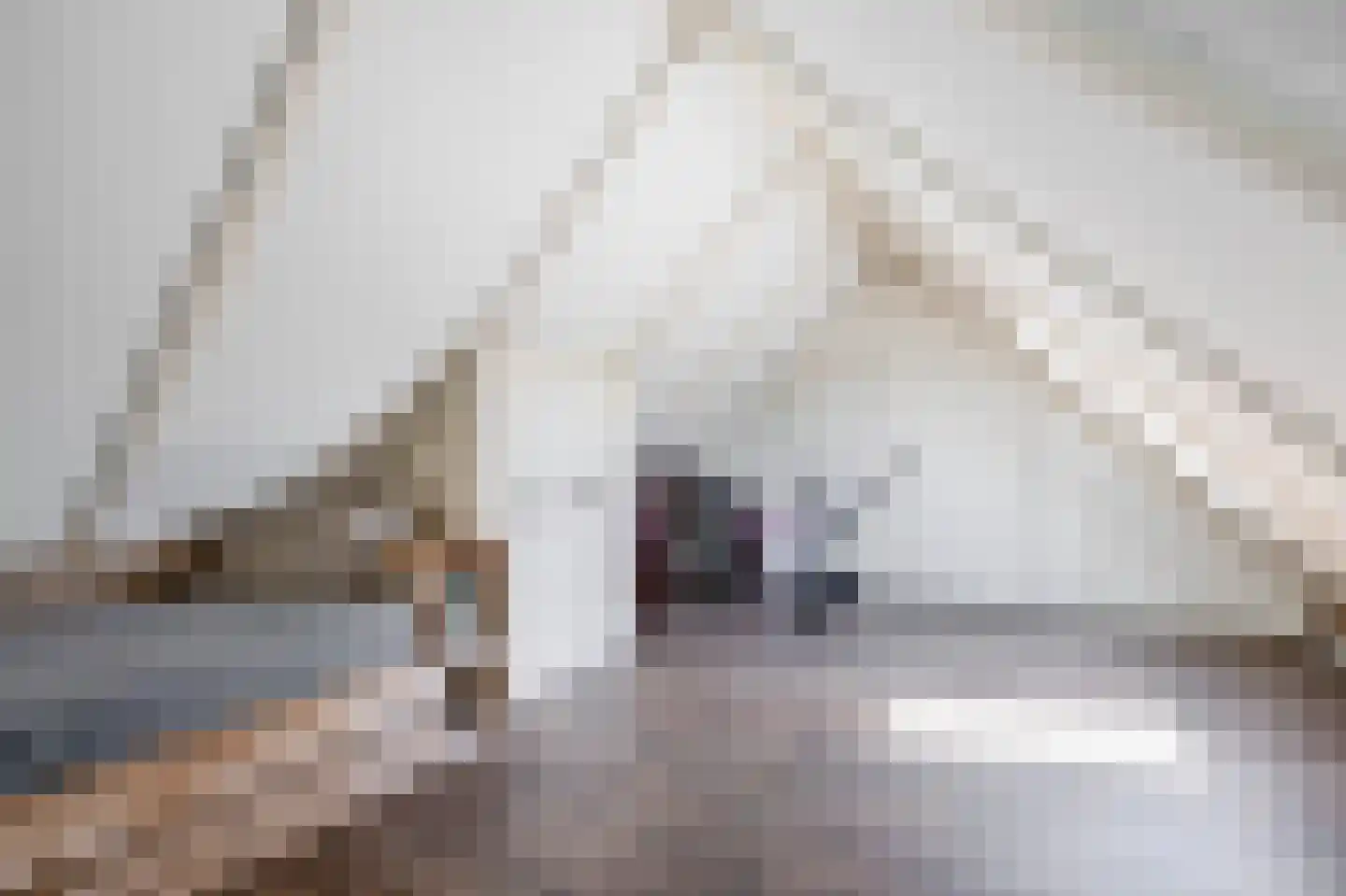 Debussystraat 9 Schijndel thumbnail 29
