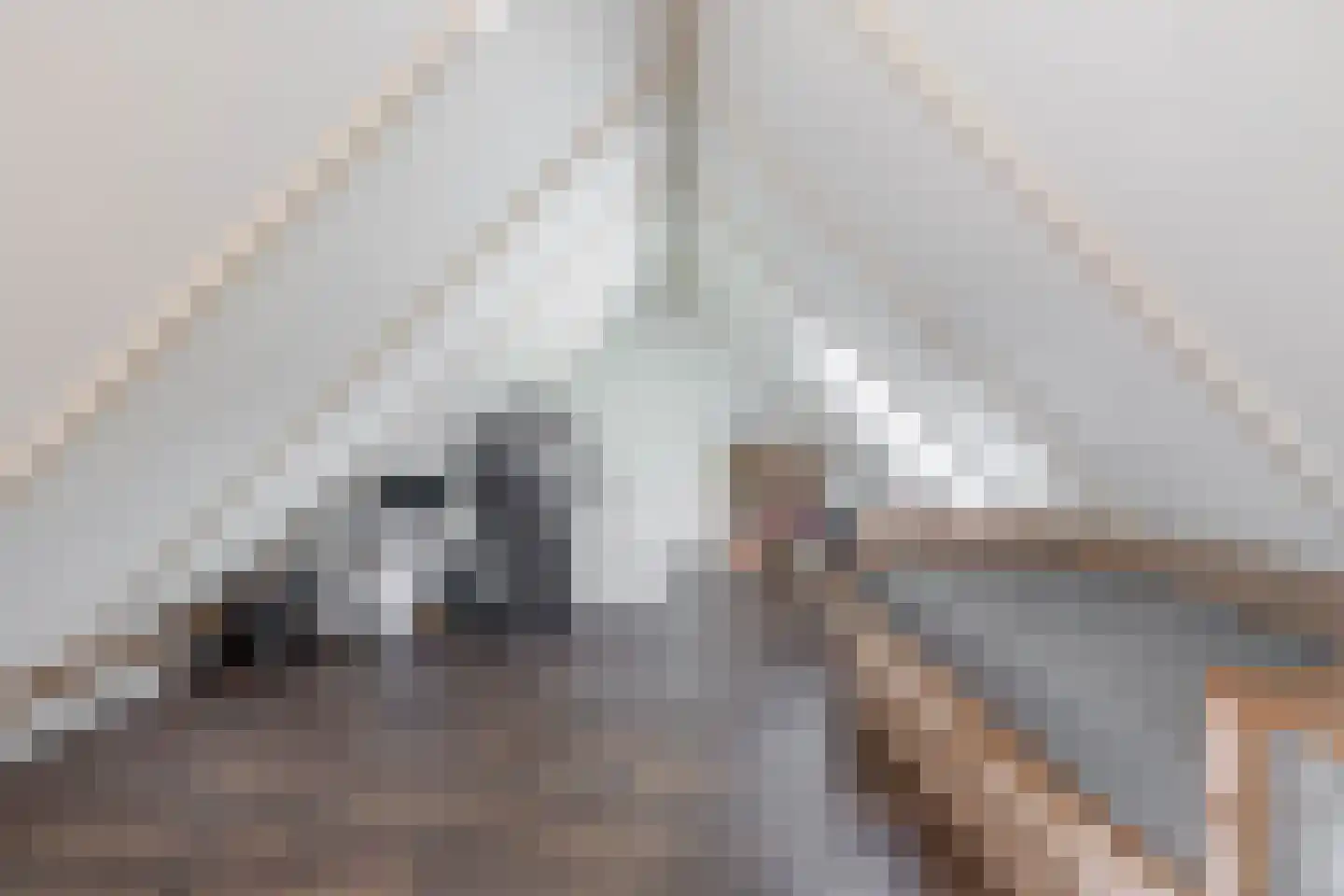 Debussystraat 9 Schijndel thumbnail 30